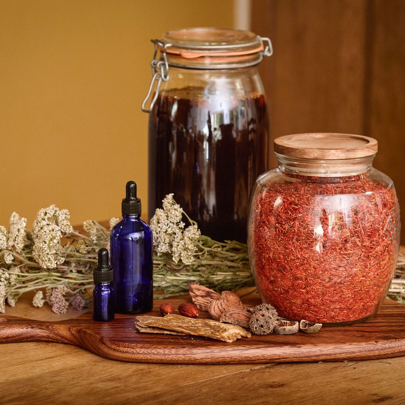 2025_09_03_Donna_Armstrong0730